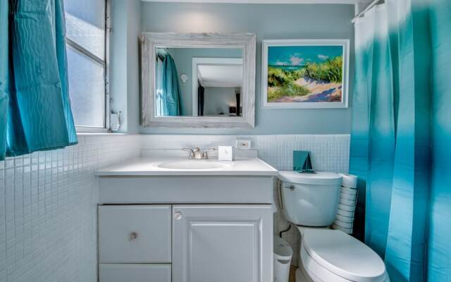 All About The Dolphins - Roelens Vacations