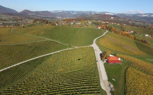 Wine Grower's Mansion Zlati Gric
