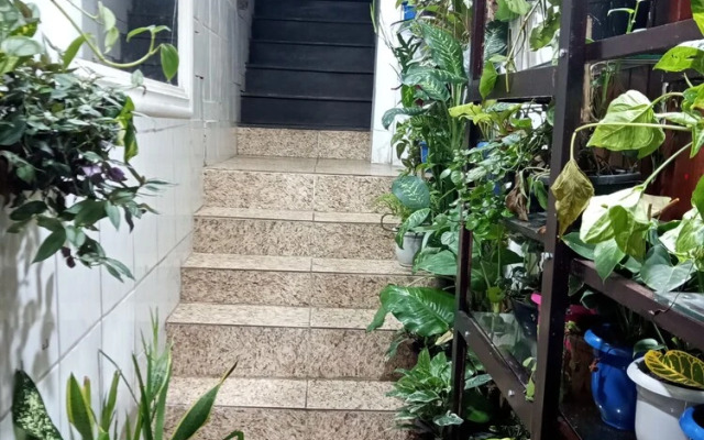 Albergue da Lucia