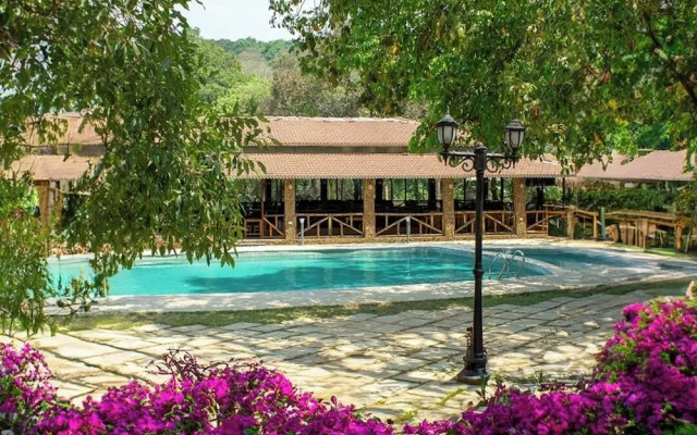 Shangri La Jungle Resort
