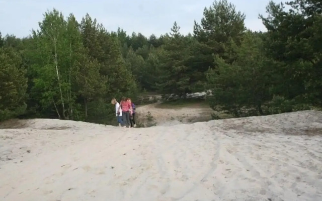 Ferienparadies Waldidylle