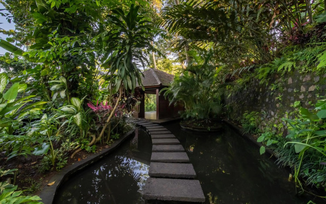 The Hidden Paradise Ubud