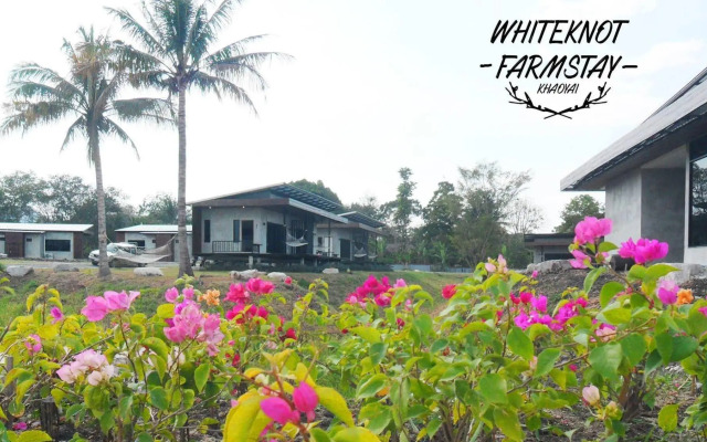 White Knot Khao Yai
