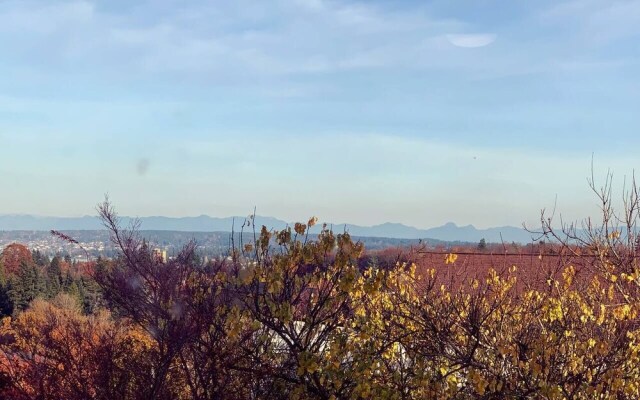 Arboretum View- Magnolia