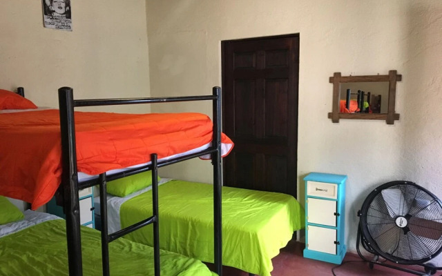 Greenhouse Hostel