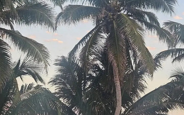Sand and Sky Resort