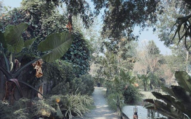 Rewild Camp And Cafe