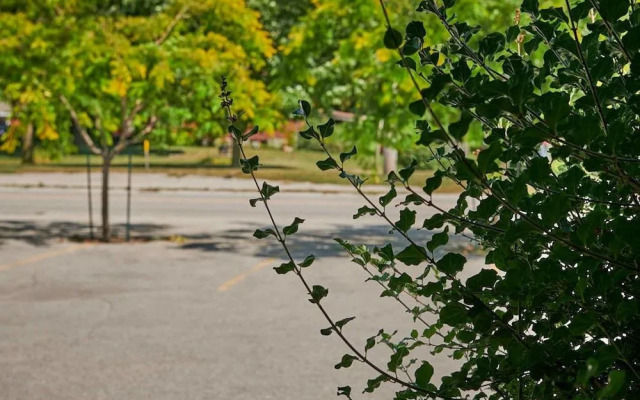 Samuel's Boutique Hotel