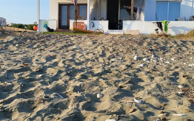 Mattis Seafront Beachhouse