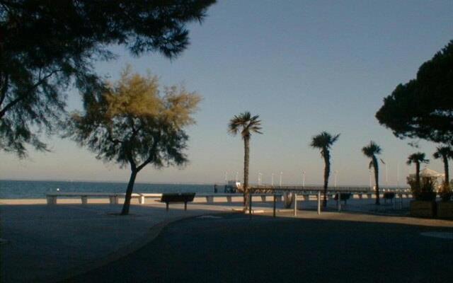 Appartement Arcachon, 2 pièces, 6 personnes - FR-1-374-159