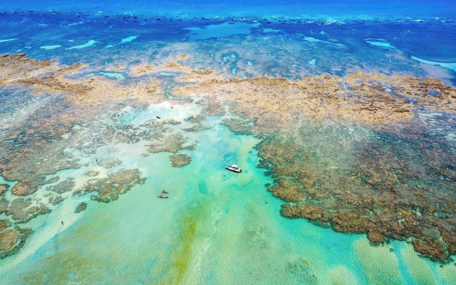 Atlantis 312 Porto de Galinhas