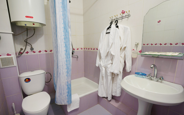 Mechta (f. Ellison Mechta)