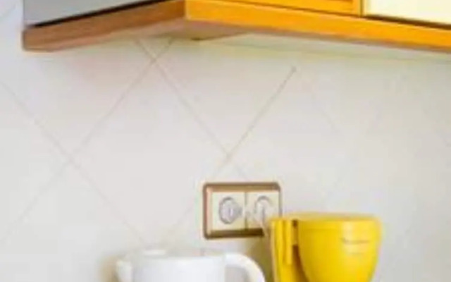 Sea Stars Las Canteras