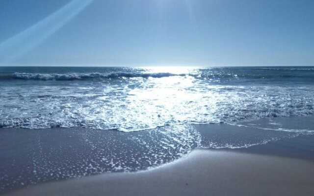 Paradialaw