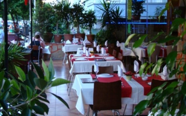 Ozcakil Hotel & Pension