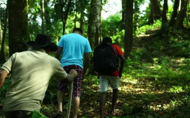 Vagamon Heights