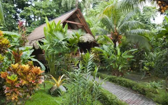 Azania Jungle House One or Two Bedroom with AC near the beach