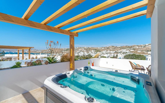 Mykonos Cactus