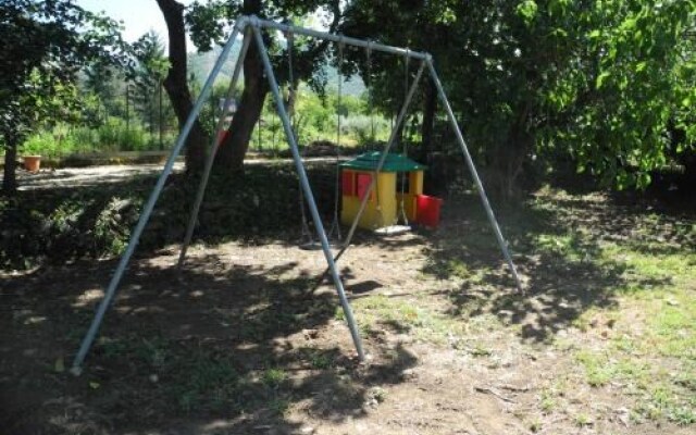 Organic Farmholiday In The Middle Of Olive Grove 1