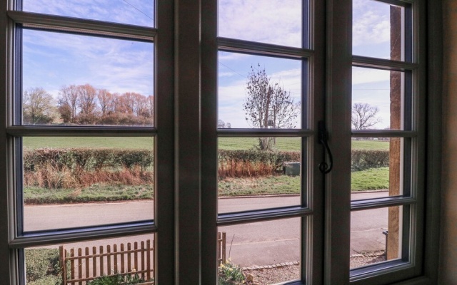 Elm View