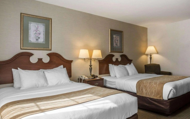 Comfort Inn & Suites East Greenbush - Albany