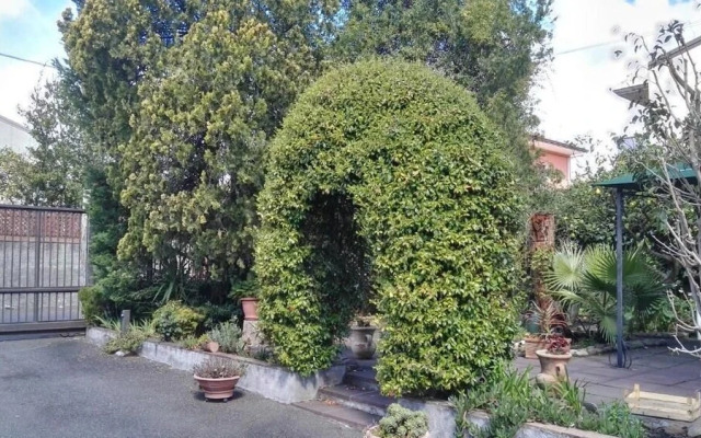 La Rocca del Gelsomino