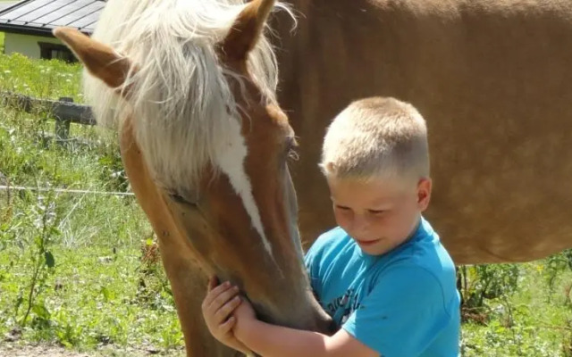 Ferienwohnungen Schwabhof