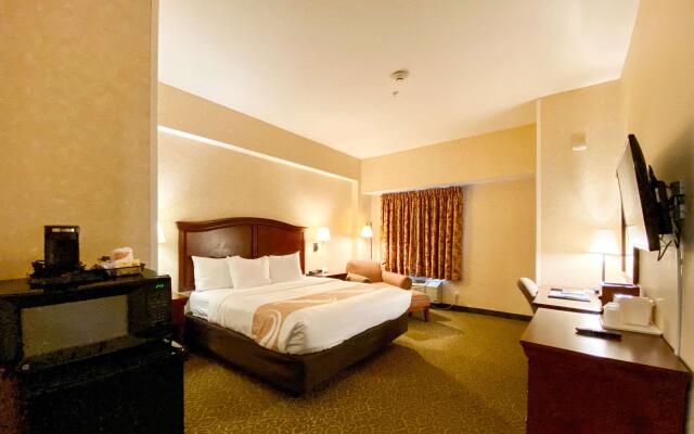 Maine Evergreen Hotel, an Ascend Collection Hotel