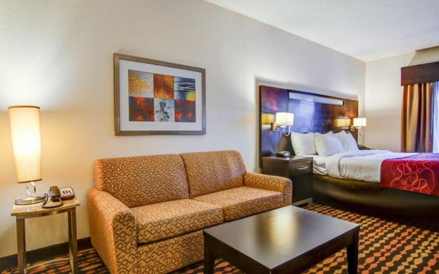 Comfort Suites Northside Hospital Gwinnett