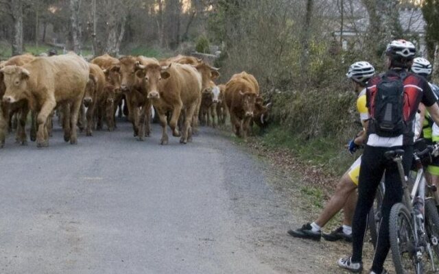 Hotel Nueva Allandesa