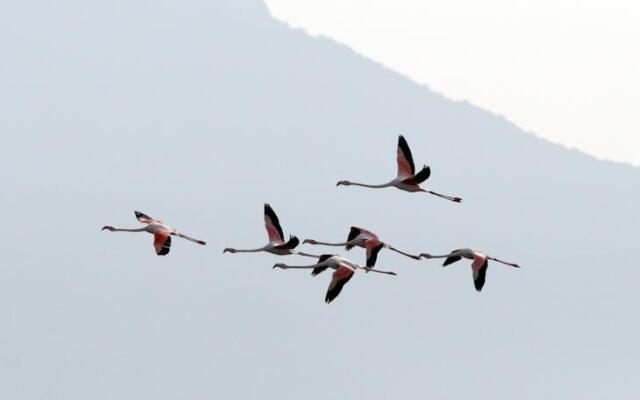 Eta Beta Sardinia Bed & Breakfast