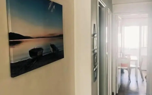 Oriente DNA Studios III