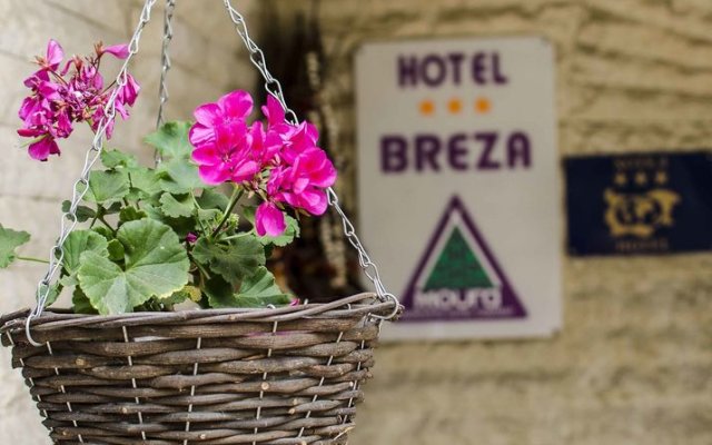 Hotel Breza