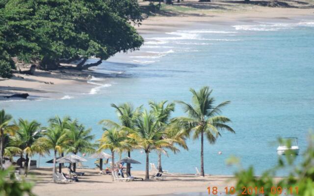 Amazing Beach View Apartments