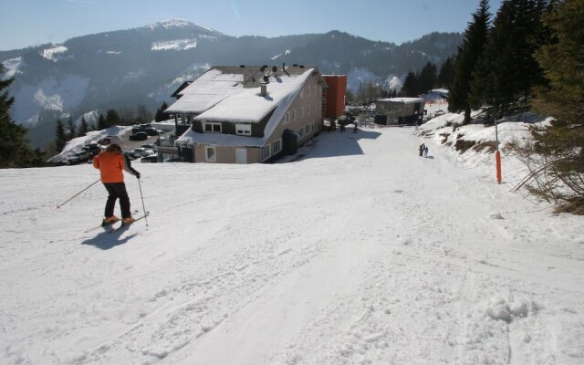 Cozy Chalet near Ski Area in Klippitztörl