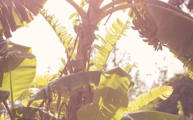 Ruang Tawan Hideaway