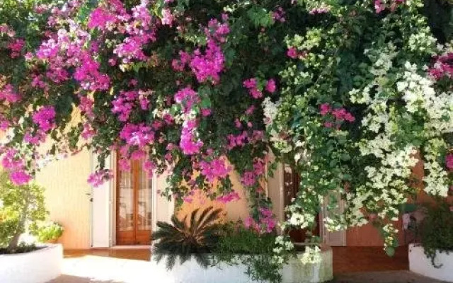 Constantinos Apartments