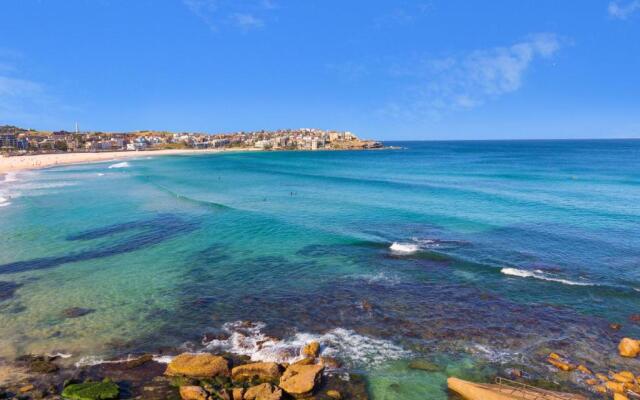 Little Drifter Bondi Beach