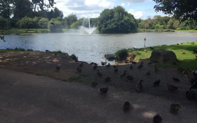 Oakdale, Templemore, E41f856