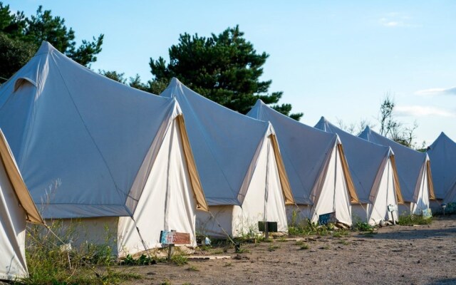 Surfana Surf Hostel Bloemendaal Campsite