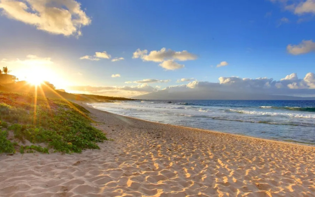 Maui Kamaole M106 In Kihei