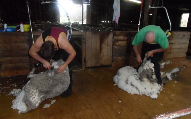 Grampians Historic Tobacco Kiln