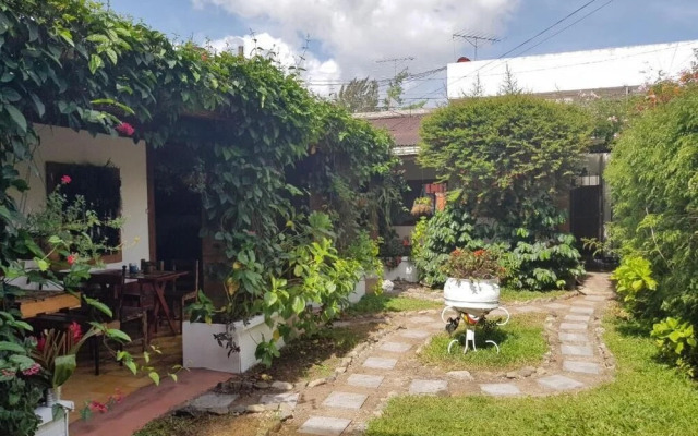 Hotel Casa Chapultepec - Hostel