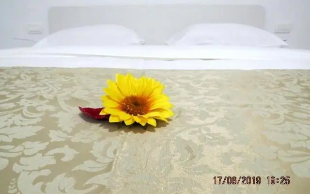Sunlight Apartment