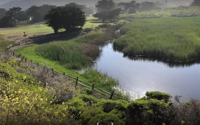 Pacifica Homes
