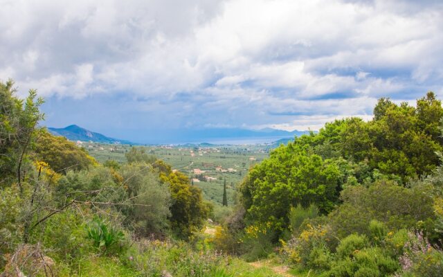 Zante Lagos Holiday Homes