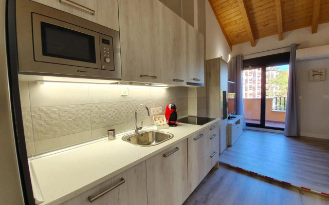 Apartamentos Aranda - Ático Duero