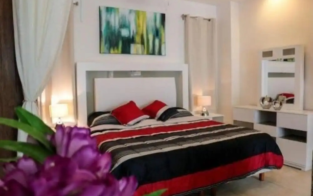 Romantic Zone V177 Studio