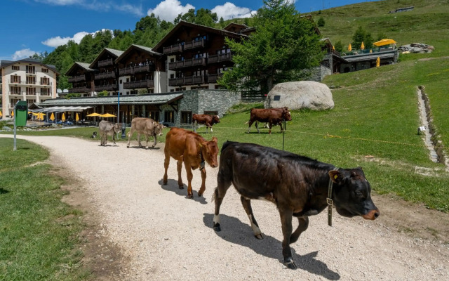 Riffelalp Resort 2222m