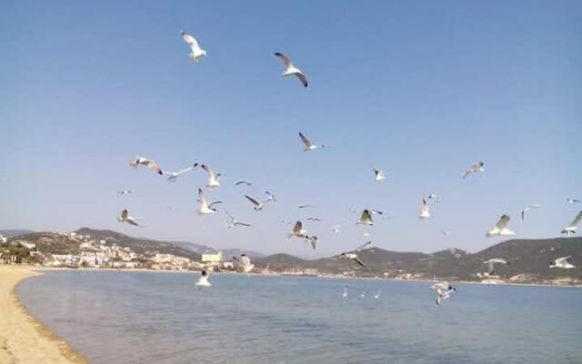 Anastasia's Apartment 2